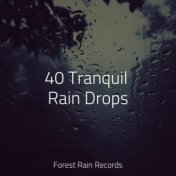 40 Tranquil Rain Drops
