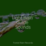 Light Rain Guide Sounds