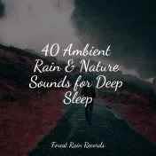 40 Ambient Rain & Nature Sounds for Deep Sleep