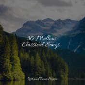 30 Mellow Classical Songs