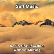 #01 Soft Music for Sleeping, Relaxation, Wellness, Studying
