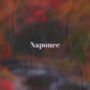 Naponee