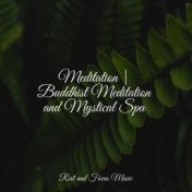 Meditation | Buddhist Meditation and Mystical Spa