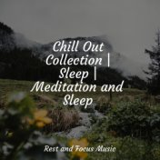 Chill Out Collection | Sleep | Meditation and Sleep