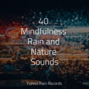 40 Mindfulness Rain and Nature Sounds