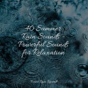 40 Summer Rain Sounds - Powerful Sounds for Relaxation
