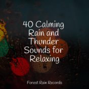 40 Calming Rain and Thunder Sounds for Relaxing