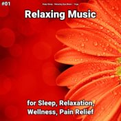 #01 Relaxing Music for Sleep, Relaxation, Wellness, Pain Relief