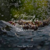 40 Pleasing Rain Sounds for Ultimate Spa Relaxation