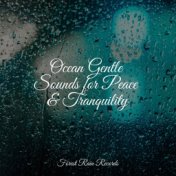Ocean Gentle Sounds for Peace & Tranquility