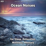 #01 Ocean Noises for Sleep, Relaxation, Wellness, Memory