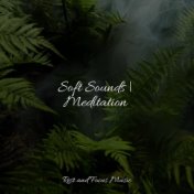 Soft Sounds | Meditation