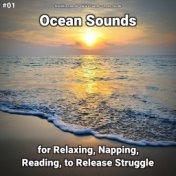 #01 Ocean Sounds for Relaxing, Napping, Reading, to Release Struggle
