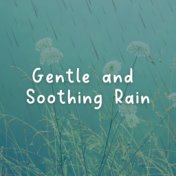 Gentle and Soothing Rain