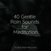 40 Gentle Rain Sounds for Meditation