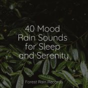 40 Mood Rain Sounds for Sleep and Serenity