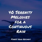 40 Serenity Melodies for a Continuous Rain