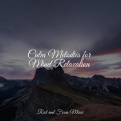 Calm Melodies for Mind Relaxation