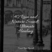 40 Rain and Nature Sounds - Ultimate Healing