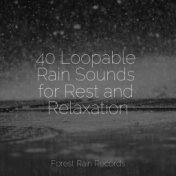 40 Loopable Rain Sounds for Rest and Relaxation