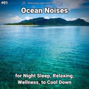 #01 Ocean Noises for Night Sleep, Relaxing, Wellness, to Cool Down