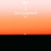 Don't Understand