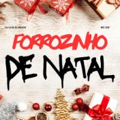 FORROZINHO DE NATAL