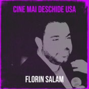 Cine Mai Deschide Usa