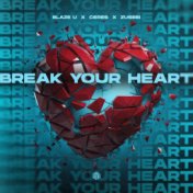 Break Your Heart (Techno Remix)