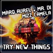 Try New Things (T-N-T Handsup Mix)