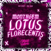 Montagem Lotus Florecentis