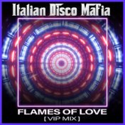 Flames of Love (Vip Mix)