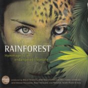 Schöne Töne: Rainforest - Hommage to an Endangered Treasure