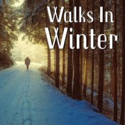 Walks In Winter