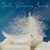 Gentle Relaxing Sounds – Nature & Piano Melodies Collection