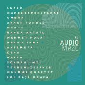 Audiomaze Selected Vol.1