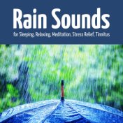 Rain Sounds for Sleeping, Relaxing, Meditation, Stress Relief, Tinnitus