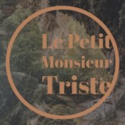 Le Petit Monsieur Triste