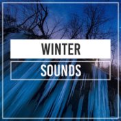 Winter Sounds