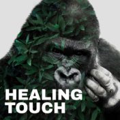 Healing Touch - Natural Hypnosis Session