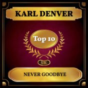 Never Goodbye (UK Chart Top 40 - No. 9)