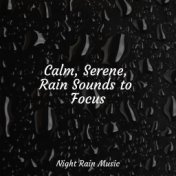 Calm, Serene, Rain Sounds to Focus