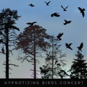 Hypnotizing Birds Concert – 1 Hour of Beautiful Forest Animals Sounds for Deep Relaxation, Sleep, Meditation and Study