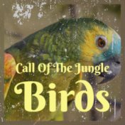 Call Of The Jungle Birds