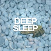 Deep Sleep