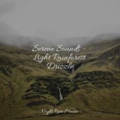 Serene Sounds - Light Rainforest Drizzle
