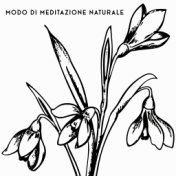 Modo di meditazione naturale - 15 Ipnotizzanti melodie naturali per una sessione di meditazione profonda