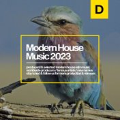 Modern House Music 2023