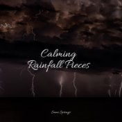 Calming Rainfall Pieces