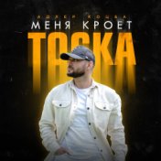 Меня кроет тоска